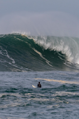 Parlementia Big Wave