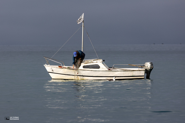 1I7A5978