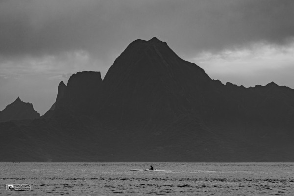 1I7A3891-Avec-accentuation-Bruit