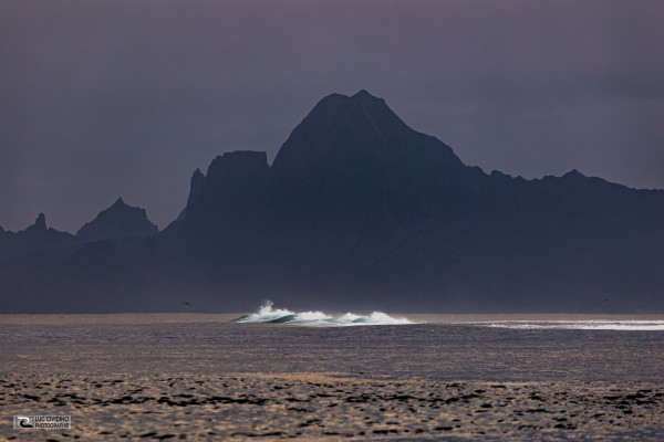 1I7A4052-Avec-accentuation-Bruit