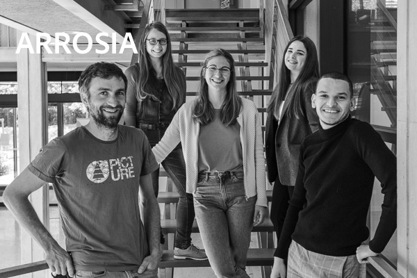 ARROSIA EQUIPE