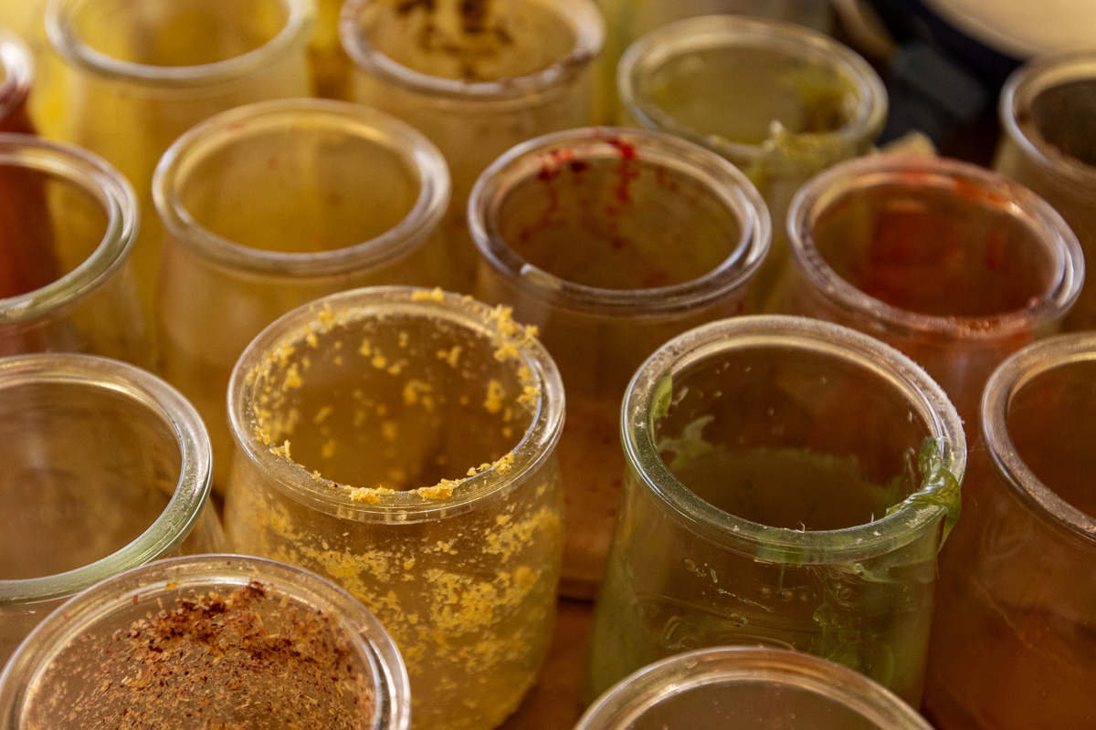 BJC_6936_PORTRAIT_ARROSIA